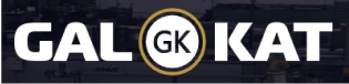 About the company