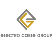 About the company