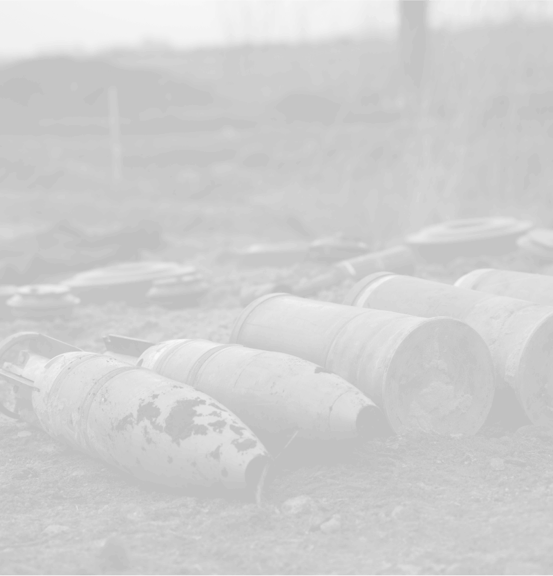 Demining will not happen soon